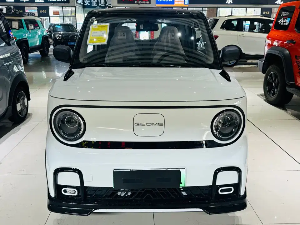 Geely Galaxy Panda Model Year 210km Panda Kart 2026