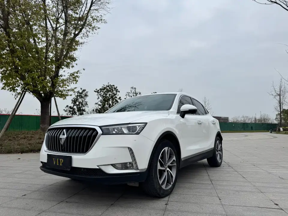 Borgward BX6 28T AWD GT Ultimate Cool Edition 2019