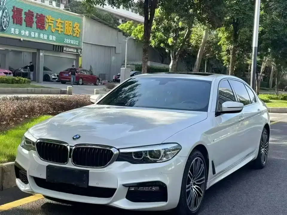 BMW 5 Series 530Li Leading M Sport Package 2019