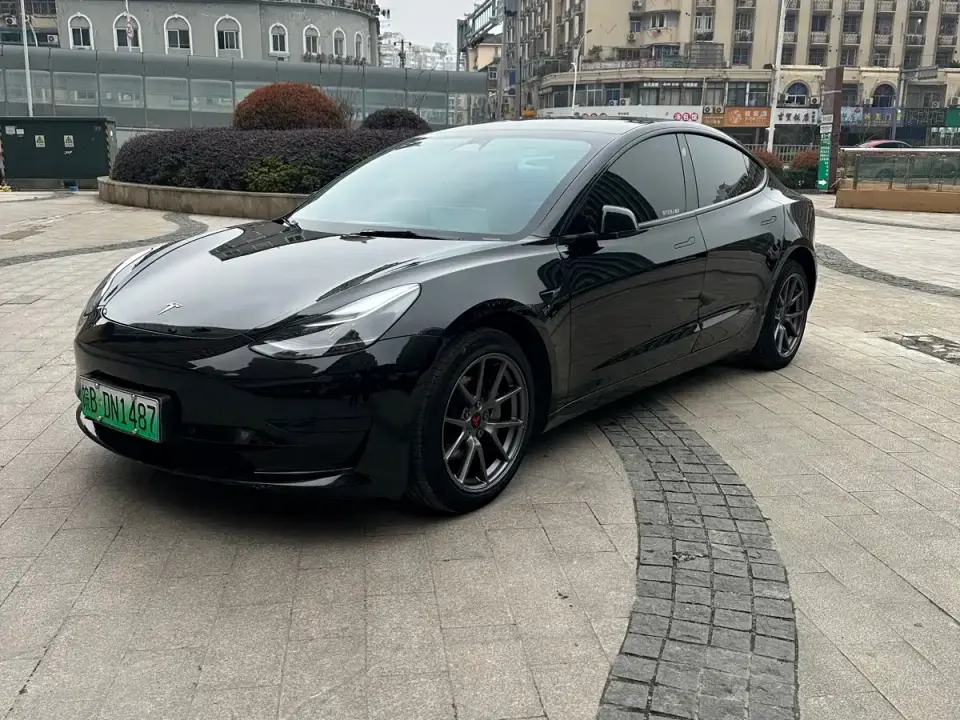 Tesla Model 3 Model Rear-Wheel Drive Version 2022