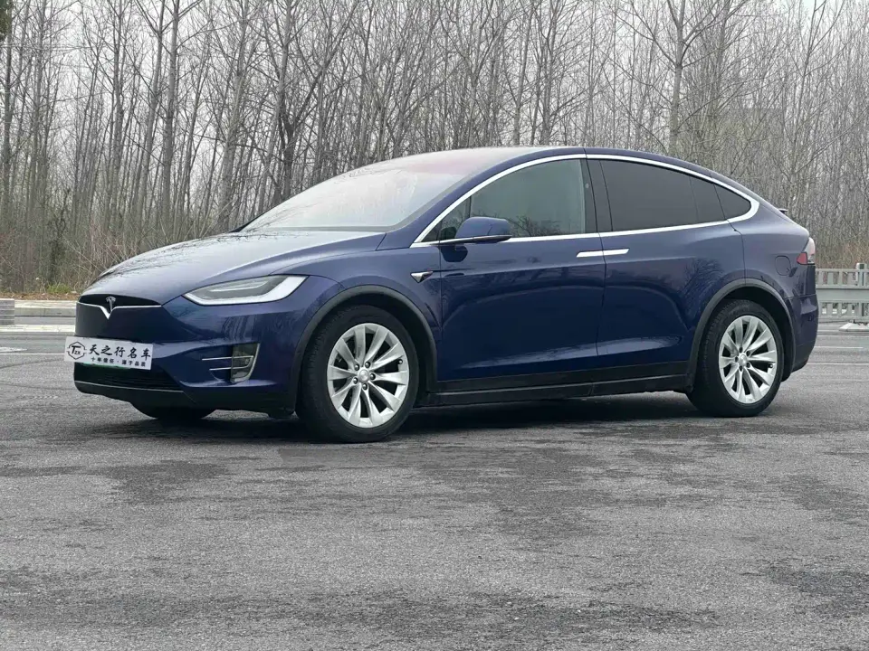 Tesla Model X Model X 75D 2019