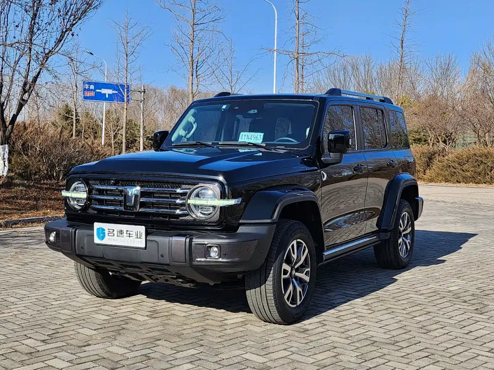 Tank 300 Urban Edition 2.0T Must-Have Type 2024