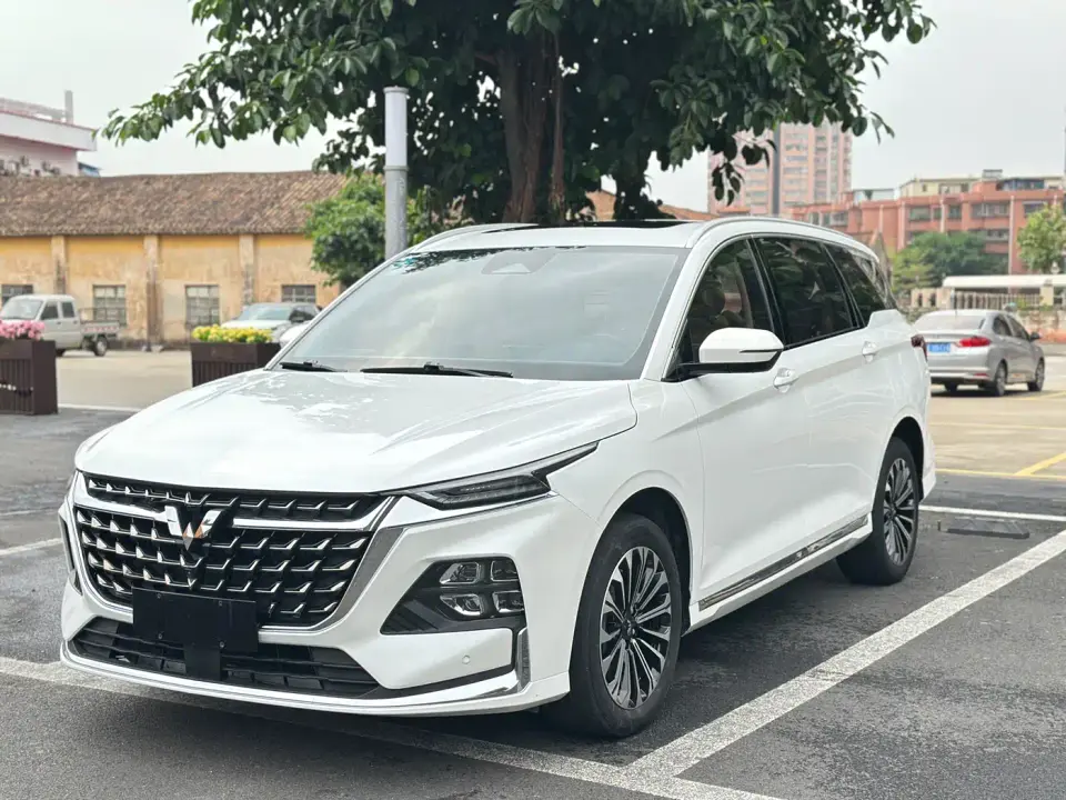 Wuling Motors Wuling Victory 2.0L DHT Luxury Edition 2023