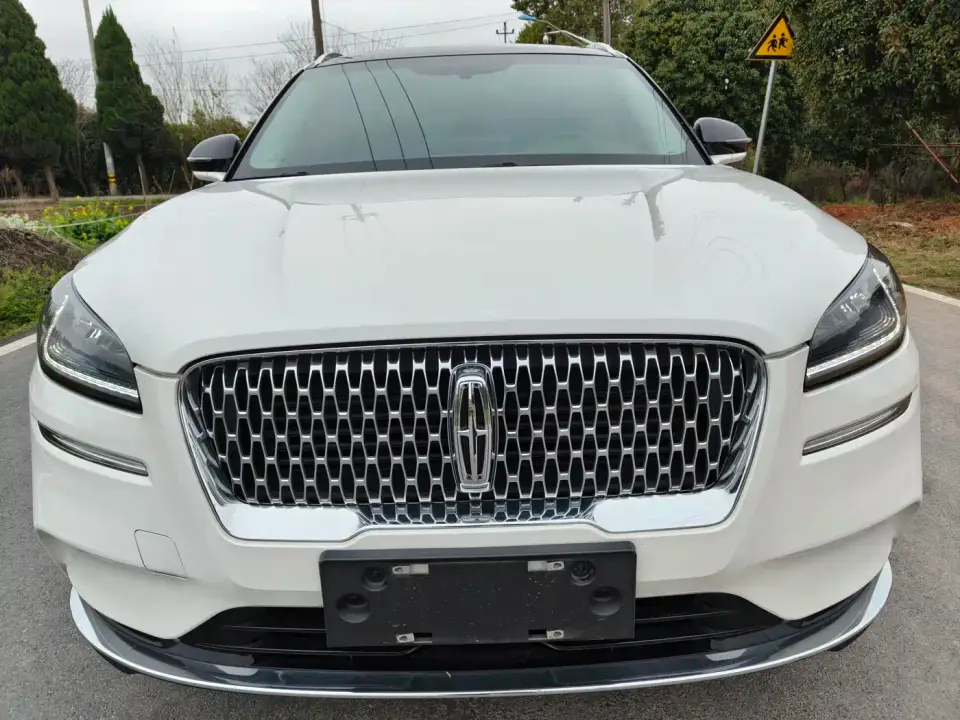 Lincoln Adventurer 2.0T 2WD Premium Enjoyment Edition 2021