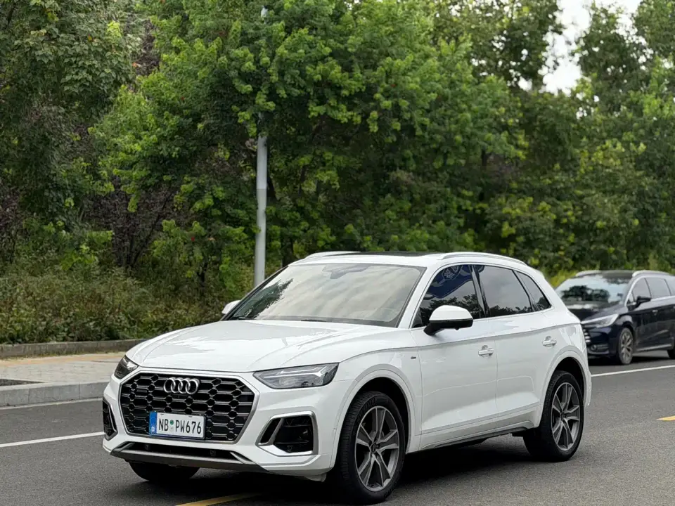 Audi Q5L 45 TFSI Luxury Dynamic 2021