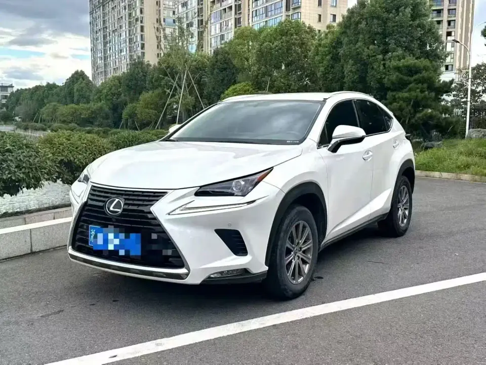Lexus NX Model 200 FWD Fengxing Edition China V 2019