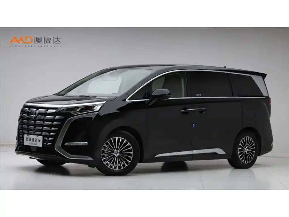 Denza D9 DM-i 980 AWD Flagship 2024