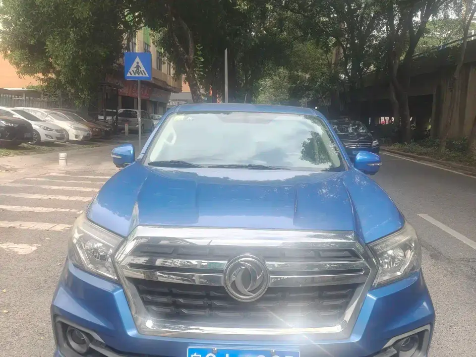 Dongfeng Ruiqi 2.4L Gasoline China VI 2WD Luxury Standard Box 2TZD 2019