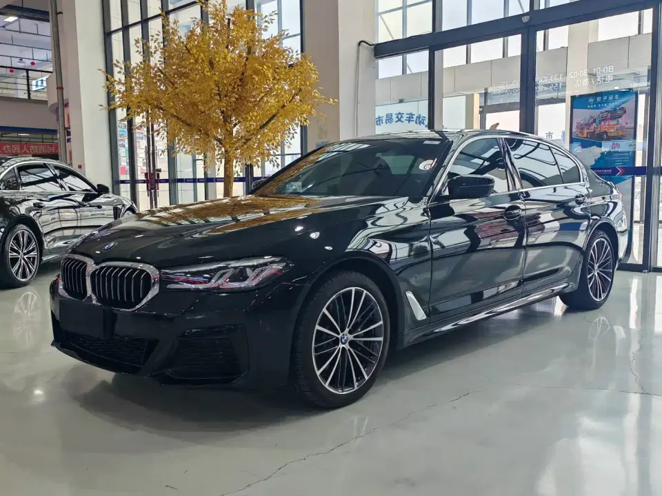 BMW 5 Series 530Li xDrive M Sport Package 2021