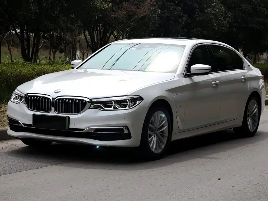BMW 5 Series New Energy Facelift 530Le Luxury Package 2019