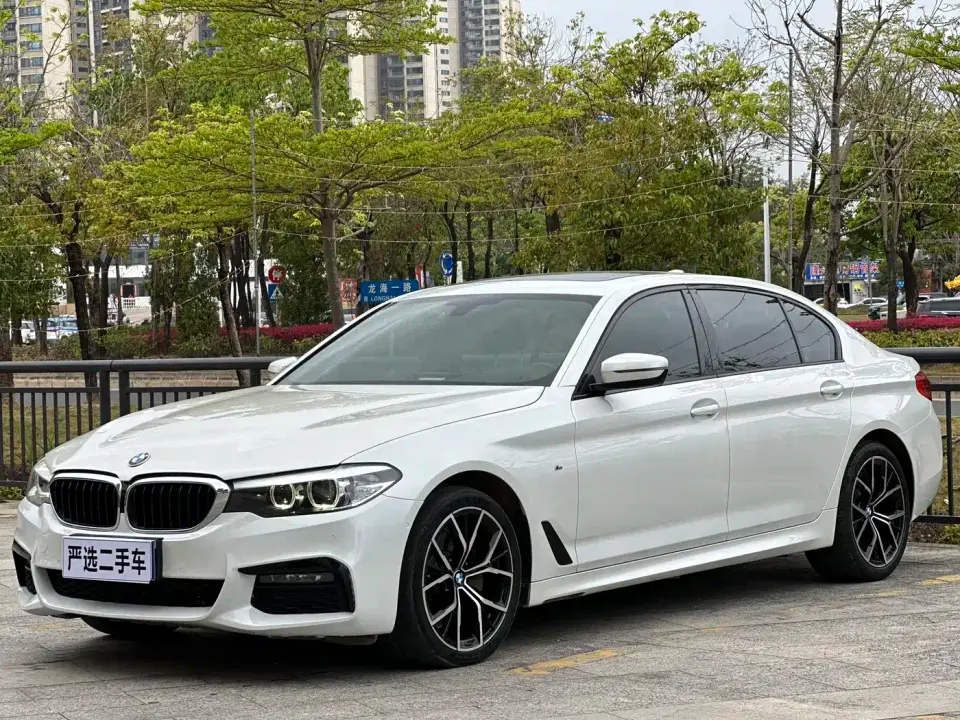 BMW 5 Series 525Li M Sport Package 2019