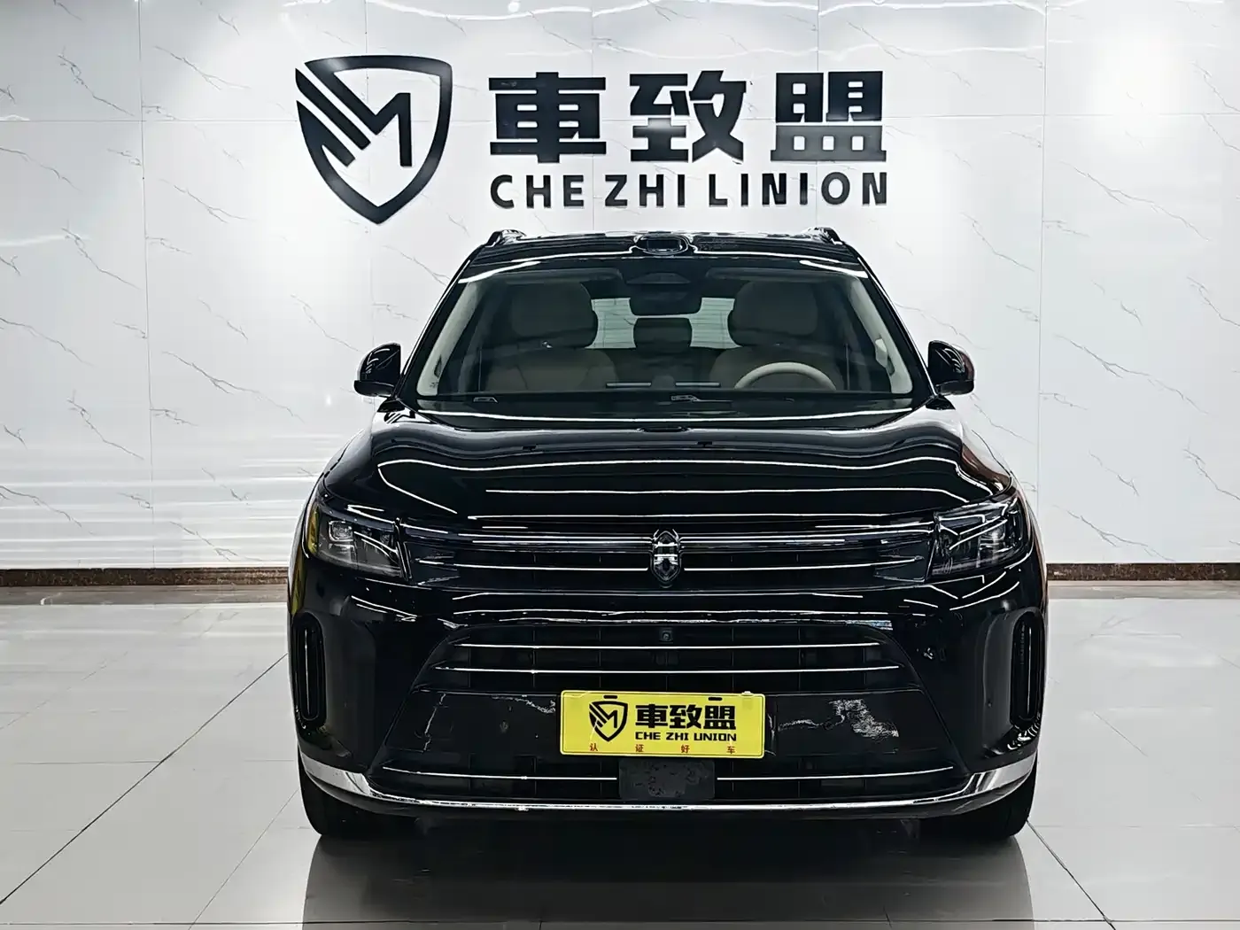 AITO Wenjie AITO M7 Model 1.5T Smart Drive RWD Max 5-Seater 2024 — фото 2