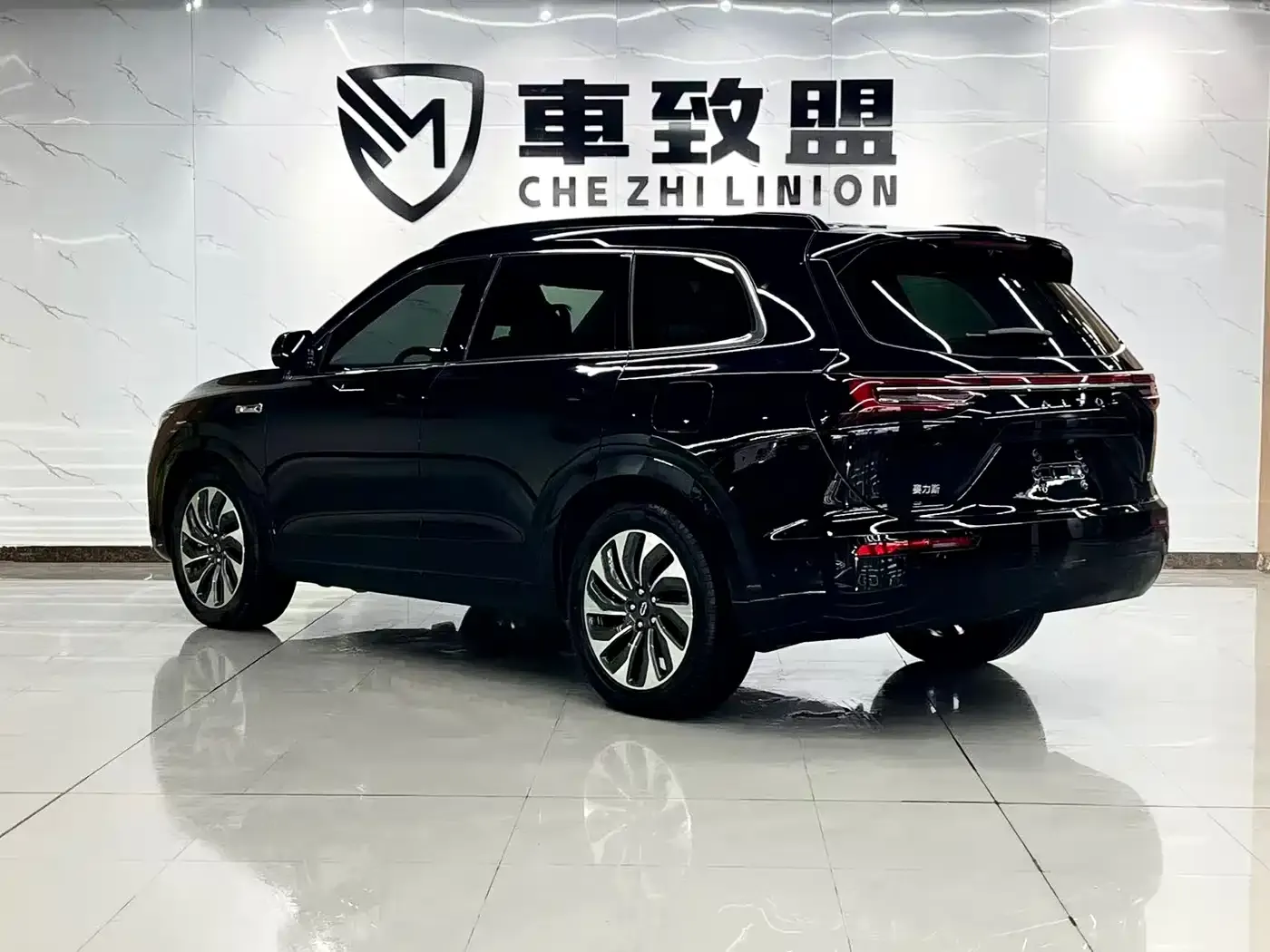 AITO Wenjie AITO M7 Model 1.5T Smart Drive RWD Max 5-Seater 2024 — фото 6