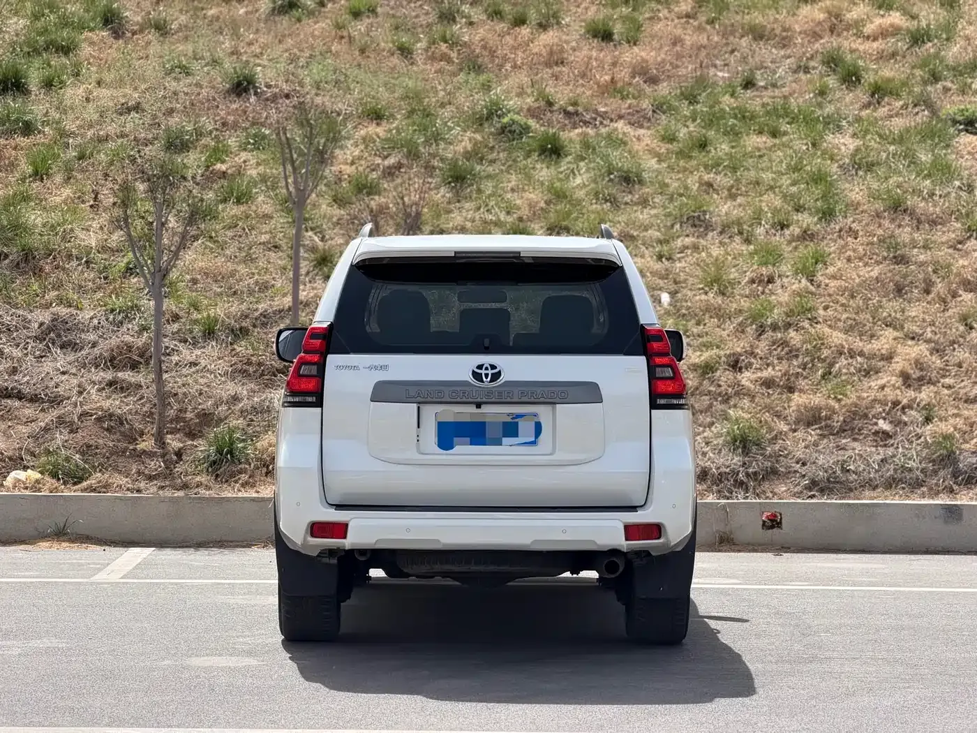 Toyota Prado 3.5L Auto SX 2020 — фото 11
