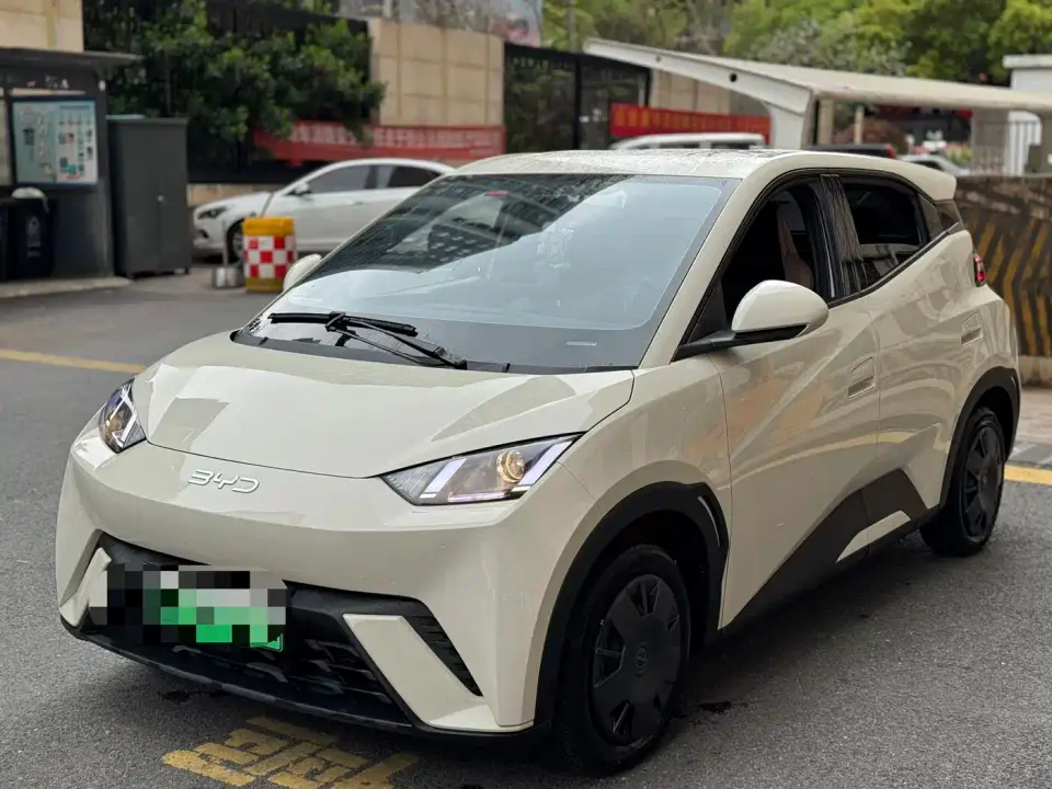 BYD Seagull Glory Edition 305km Vitality Edition 2024