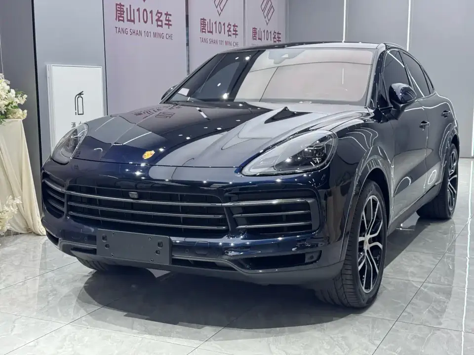 Porsche Cayenne Cayenne 3.0T Platinum Edition 2023