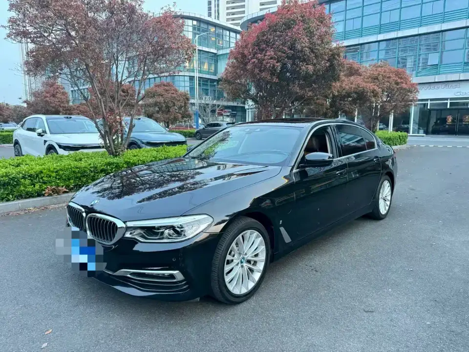 BMW 5 Series New Energy 530Le Luxury Package 2019