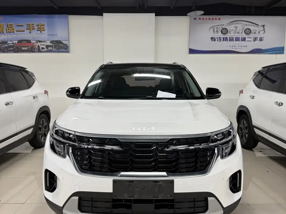 Kia Seltos 1.5L CVT Luxury Edition 2024
