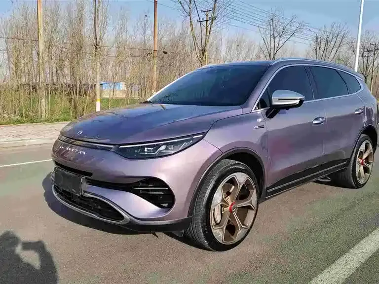 Denza X Model PHEV Flagship Edition 2020