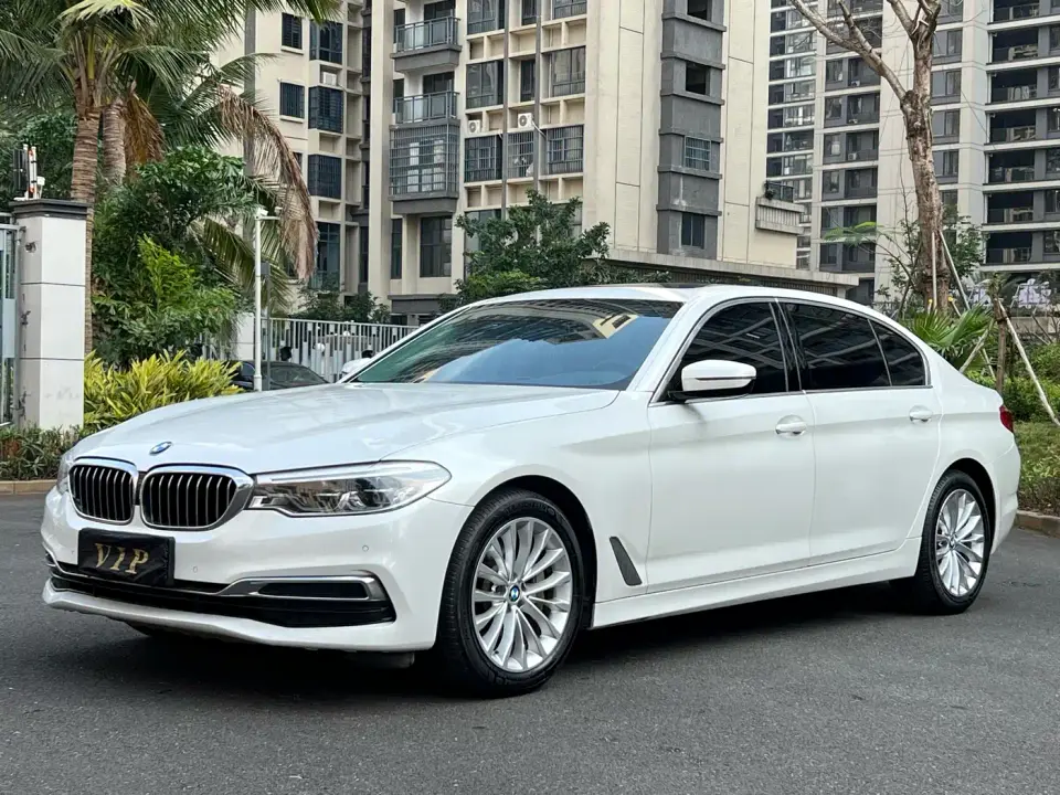 BMW 5 Series 530Li Leading M Sport Package 2020