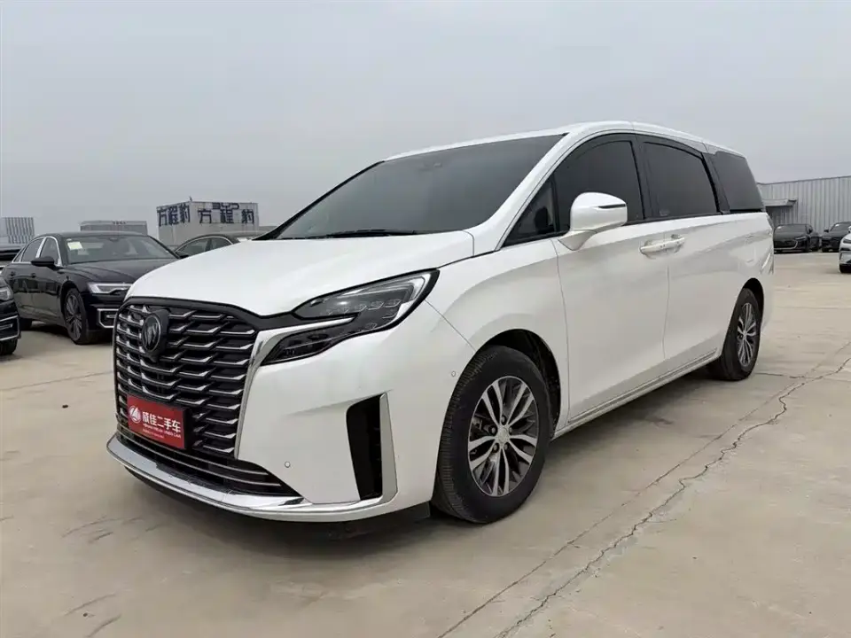 Buick GL8 ES Landmaster Exclusive 2024