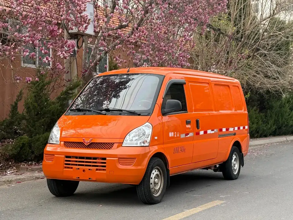 Wuling Motors Wuling Rongguang EV Sealed Window Basic 2-seater 300KM 2021