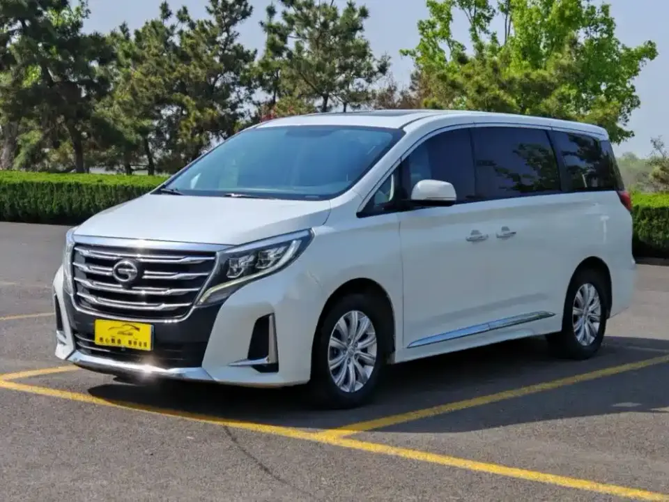 GAC Trumpchi M8 Pilot 390T Premium Edition 2020