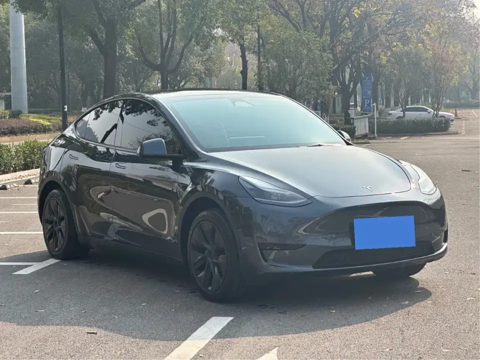 Tesla Model Y Rear-Wheel Drive Version 2025