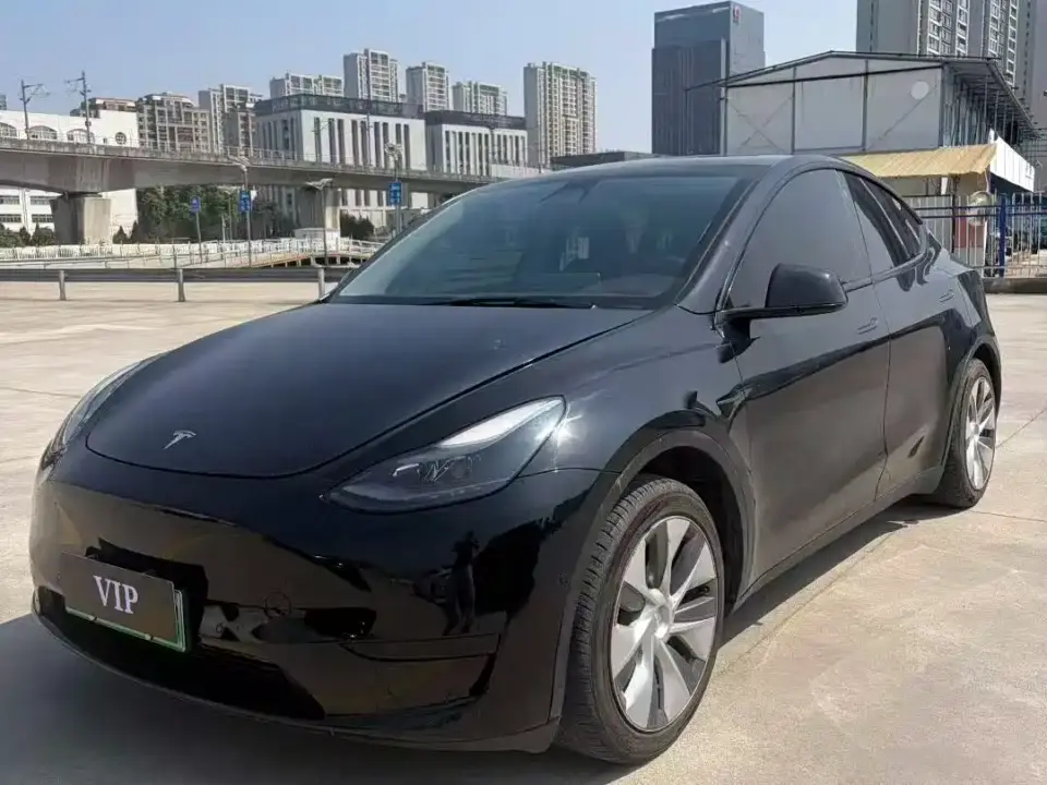 Tesla Model Y Rear-Wheel Drive Version 2022