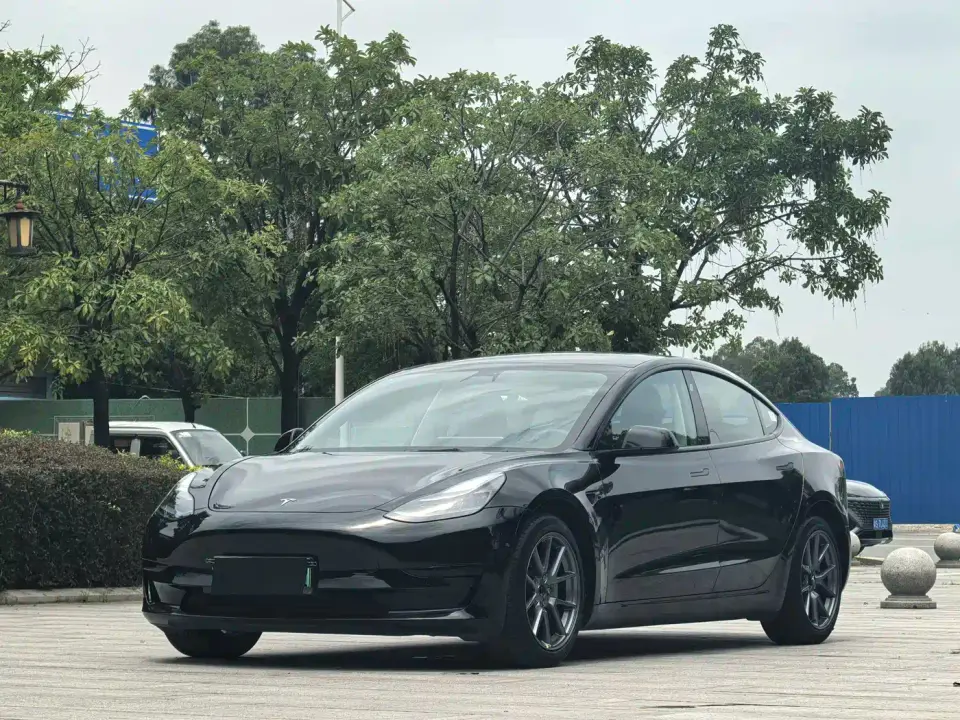 Tesla Model 3 Model Rear-Wheel Drive Version 2023