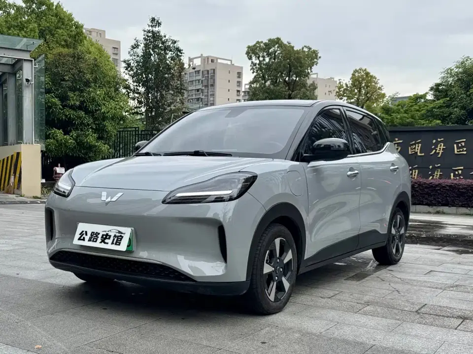 Wuling Motors Wuling Binguo PLUS Model 330km 5-Seater 2025