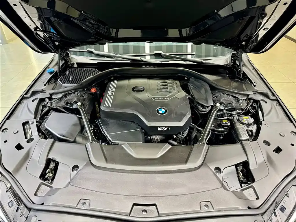 BMW 7 Series 730Li Luxury Package 2020 — фото 10