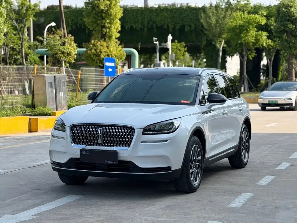 Lincoln Adventurer 2.0T 2WD Deluxe Edition 2021