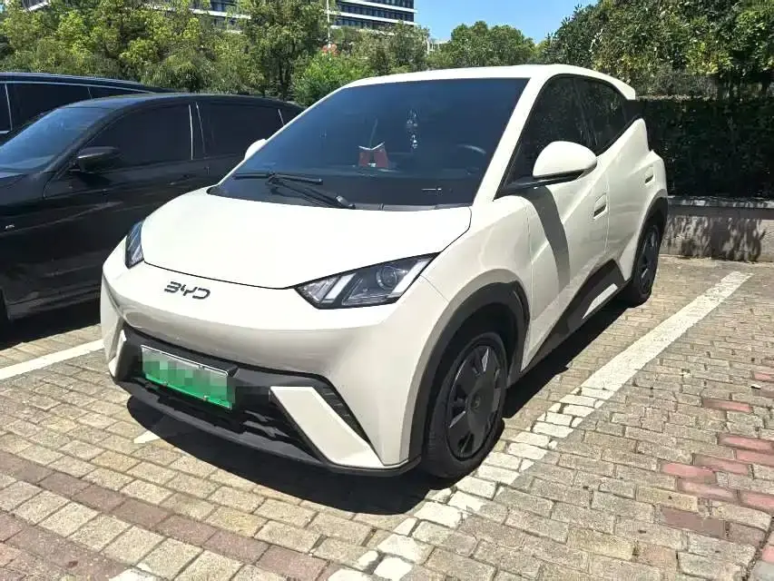 BYD Seagull 305km Vitality 2025