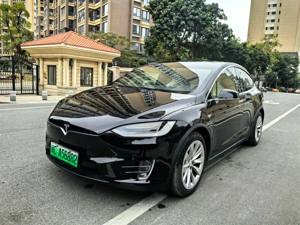 Tesla Model X Model X P100D Performance 2019