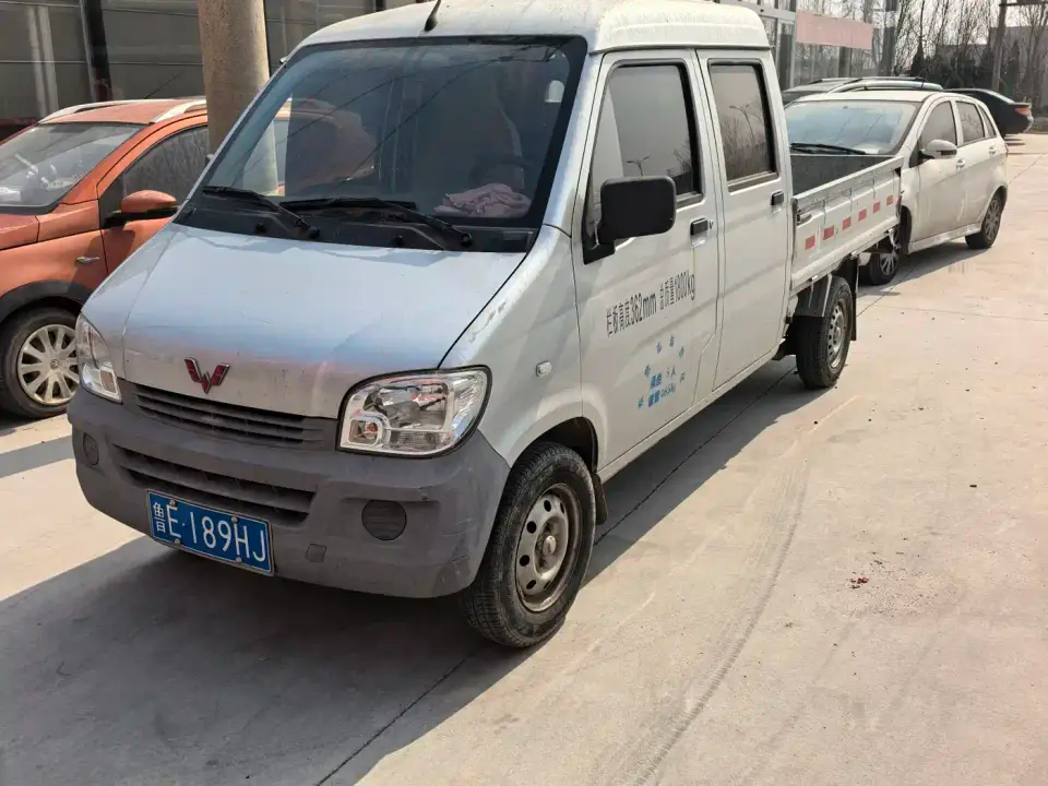 Wuling Motors Wuling Zhiguang Mini Truck 1.2L Double Cab 2020