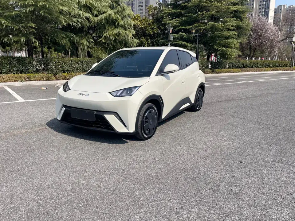 BYD Seagull Glory Edition 305km Vitality Edition 2025