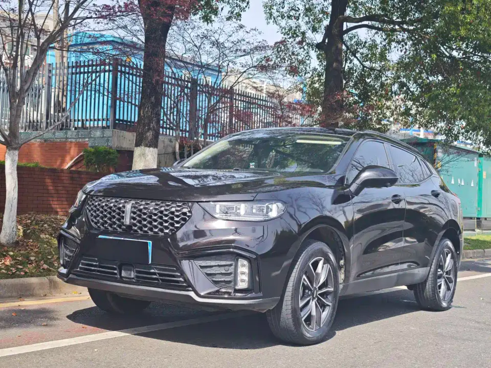Wey VV5 1.5T 2WD Smart Pioneer 2020
