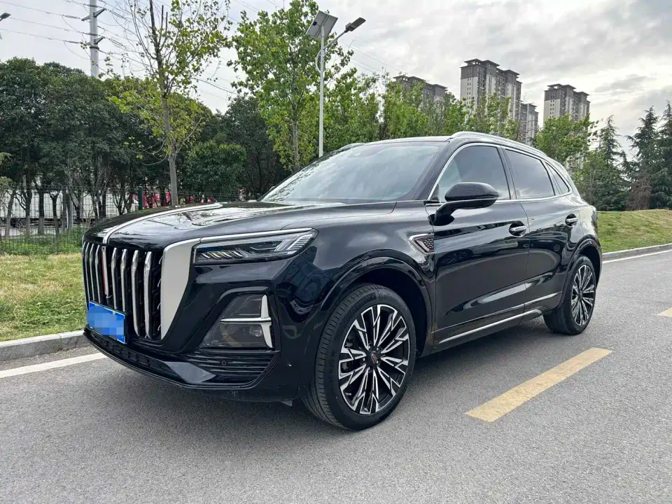 Hongqi HS5 2.0T AWD Flag Pro 500,000 Units Commemorative Edition 2024