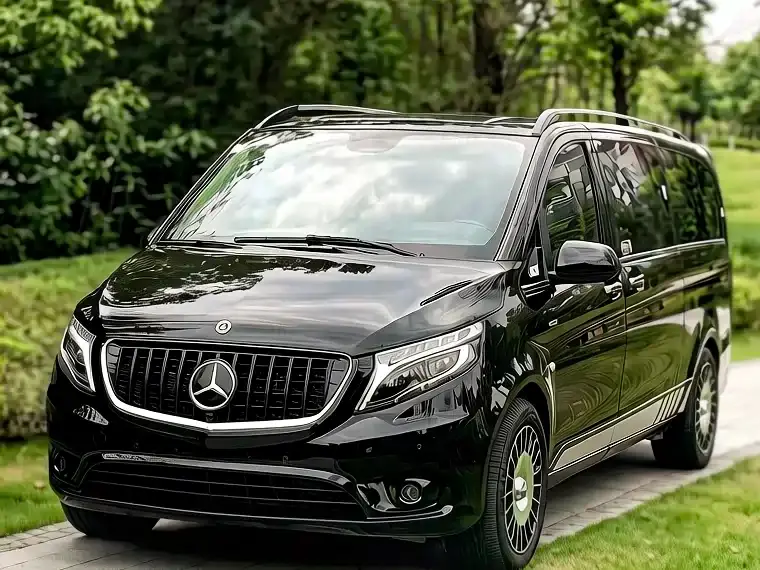 Mercedes-Benz Vito 2.0T Business Edition China VI 2020