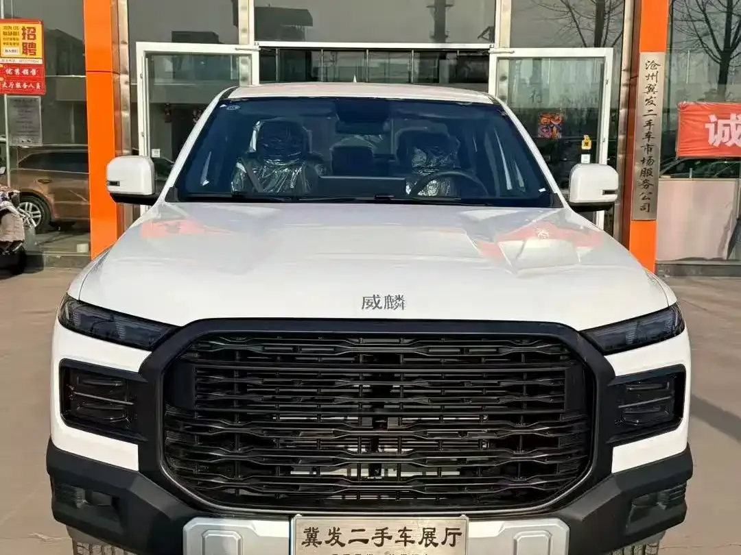 Rely Weilin R08 Model 2.3T 8AT 2WD Diesel Long Bed Trail Edition 2026 — фото 2