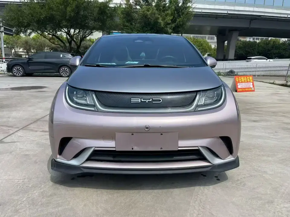 BYD Dolphin 401km Knight Edition 2022