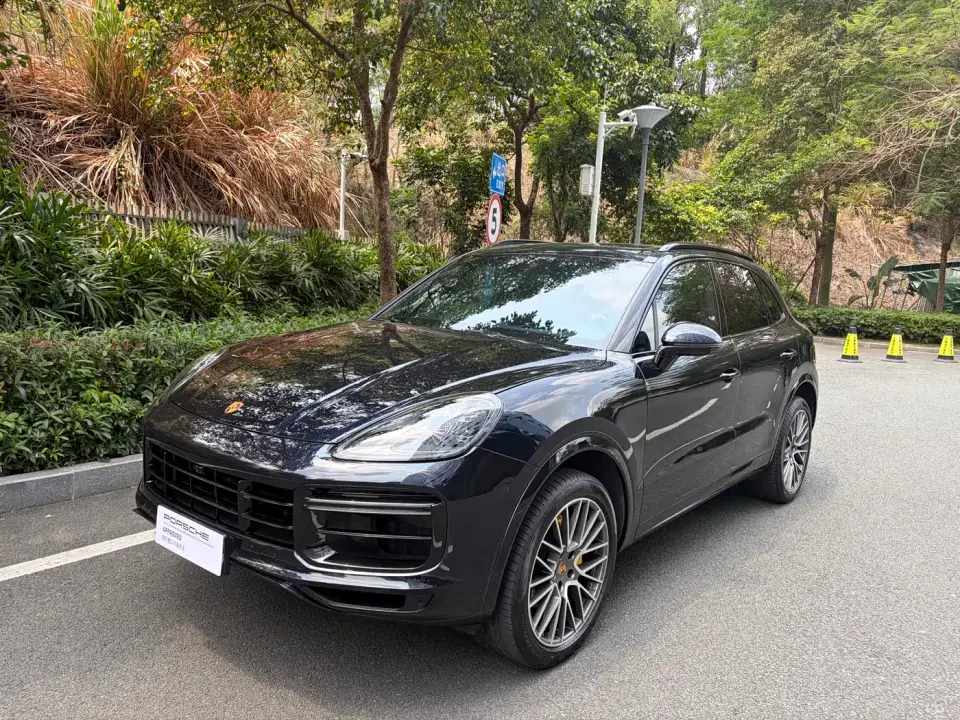 Porsche Cayenne Cayenne 3.0T Platinum Edition 2023