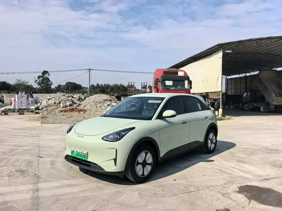 Geely Galaxy Starry Wish 310km Youth Edition 2025