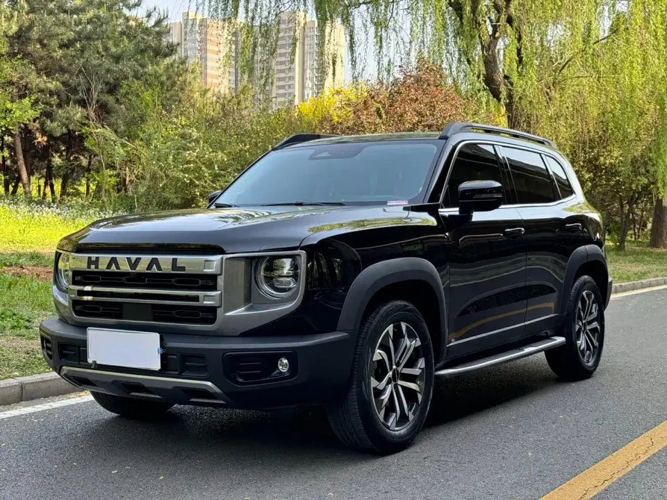 Haval Big Dog 1.5T DCT Border Collie Edition 2025