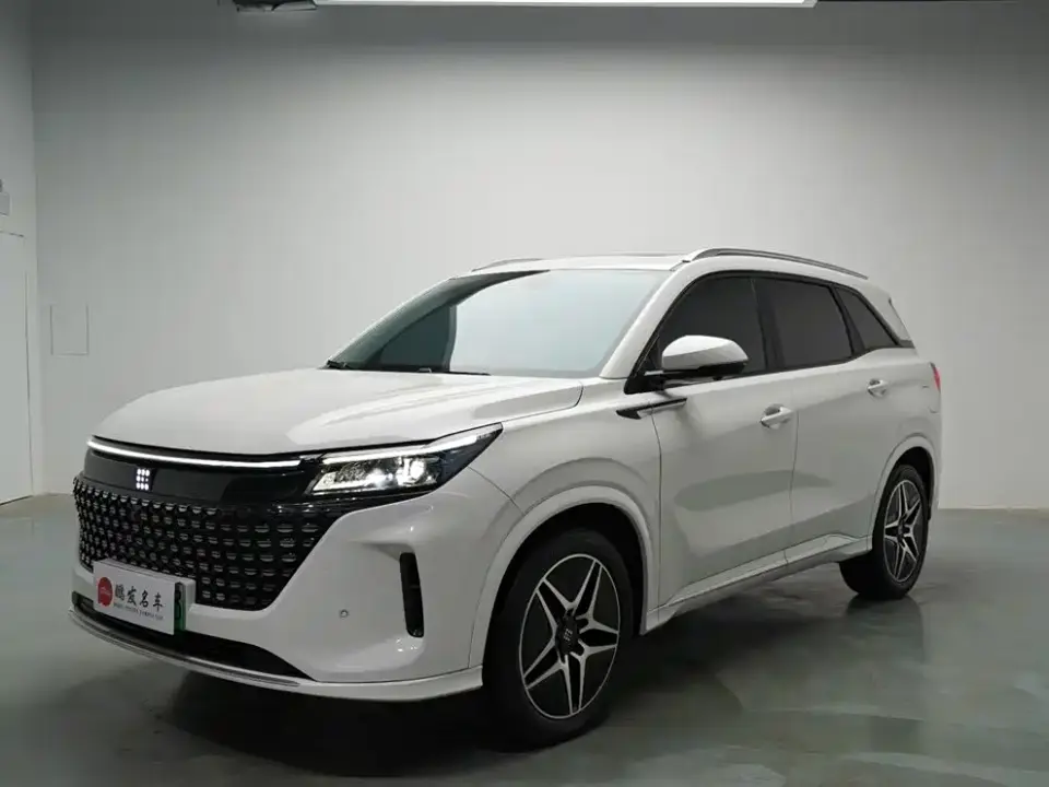 Landian E5 Glory Edition 100KM Ultimate Type 7-Seater 2024