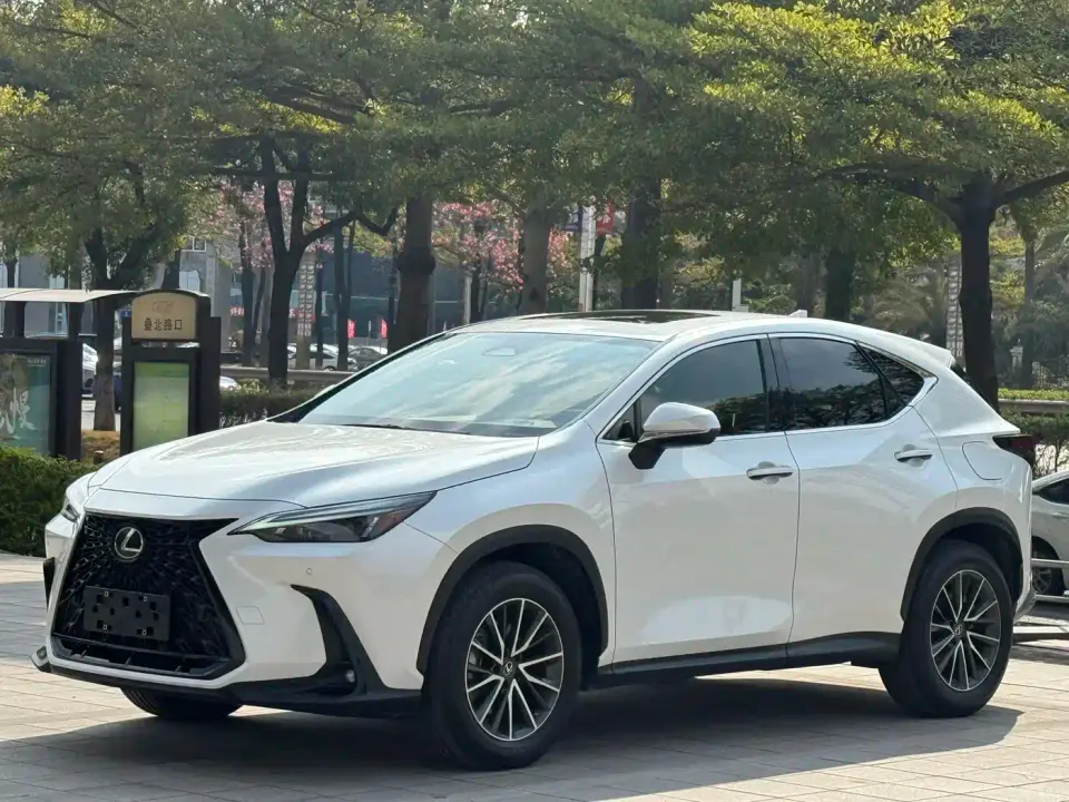 Lexus NX 260 FWD Joy Creation Edition 2022
