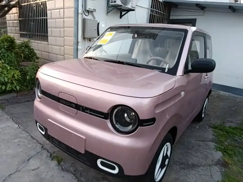 Geely Galaxy Panda Panda mini 210km Vitality Bear 2025