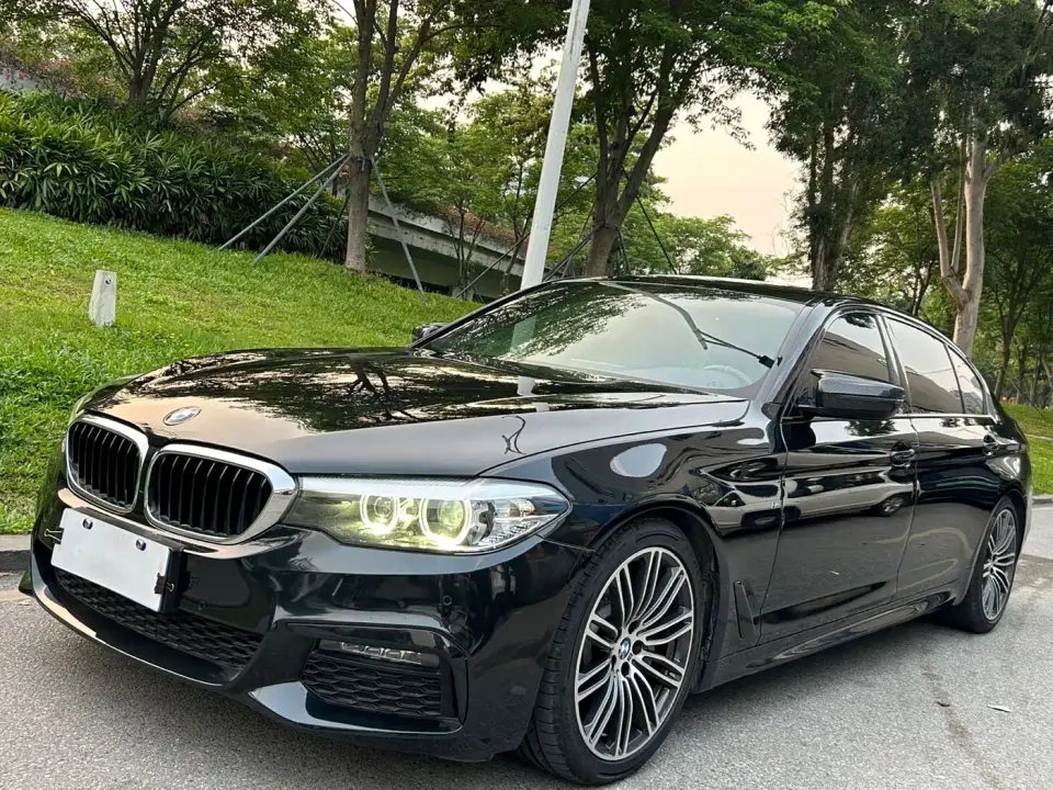BMW 5 Series 530Li Leading M Sport Package 2019