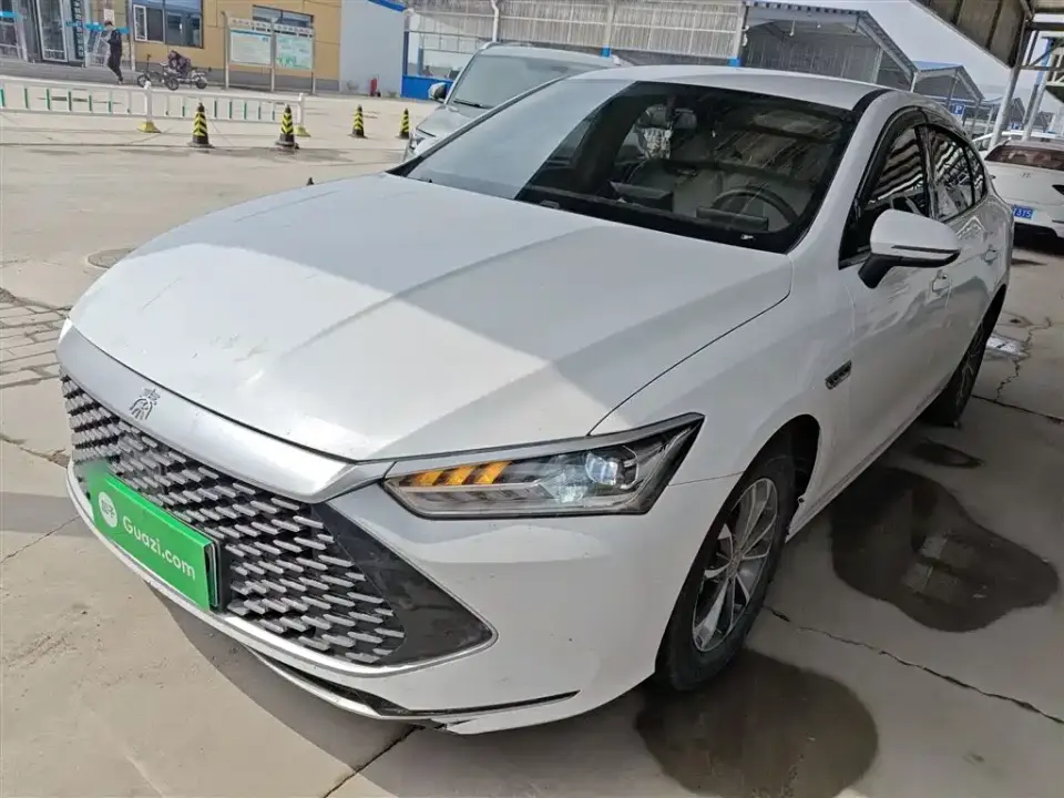 BYD Qin PLUS Champion Edition DM-i 55KM Leading 2024